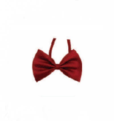 BT019 customized suit bow tie online order formal bow tie manufacturer front view